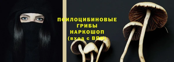 прущая мука Дмитриев