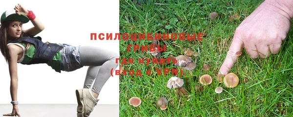 прущая мука Дмитриев