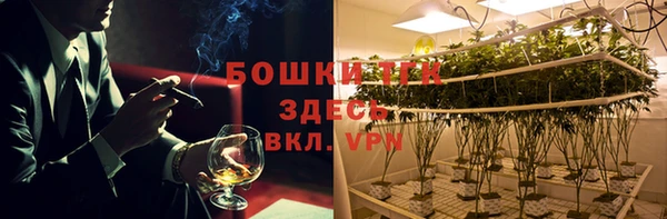 прущая мука Дмитриев